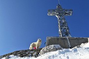 57 Reincontro Taurus alla croce di vetta del  Resegone